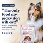 Lamb + Salmon Meal Bites healthybud