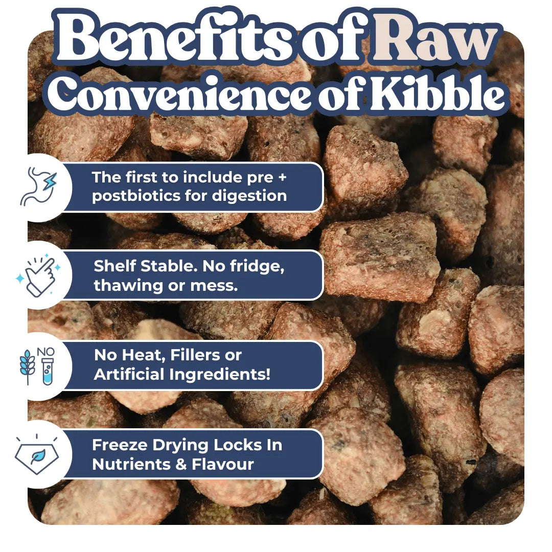 Lamb + Salmon Meal Bites healthybud