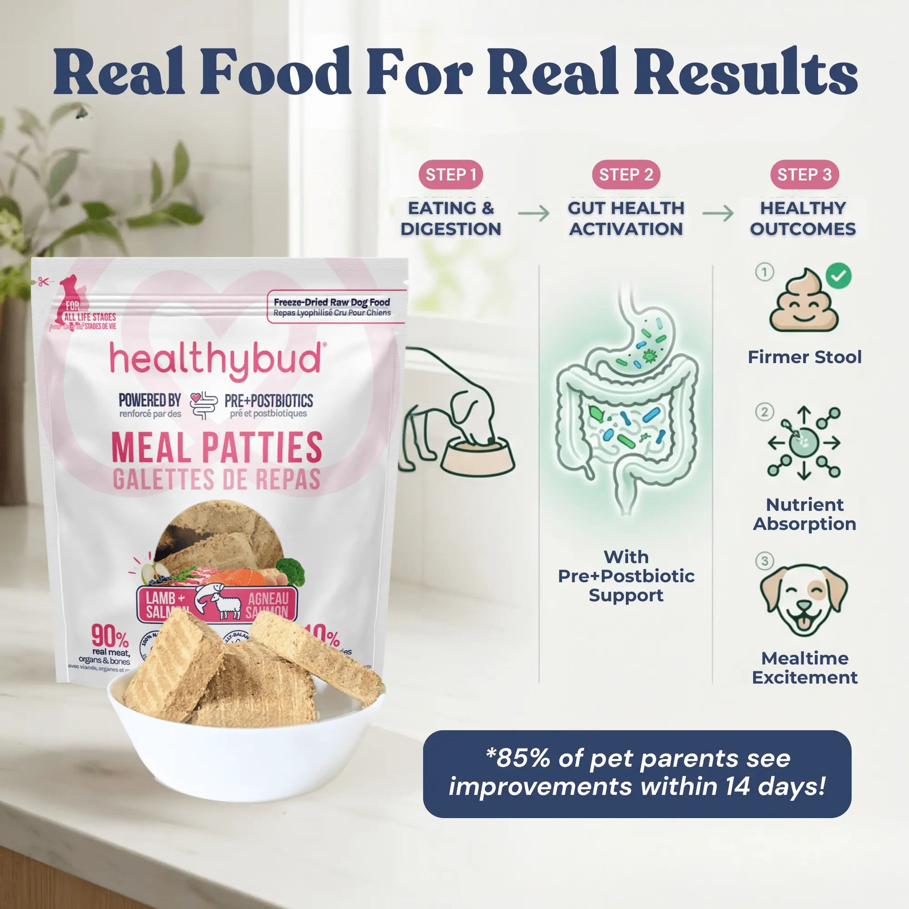 Lamb+Salmon Meal Patties healthybud