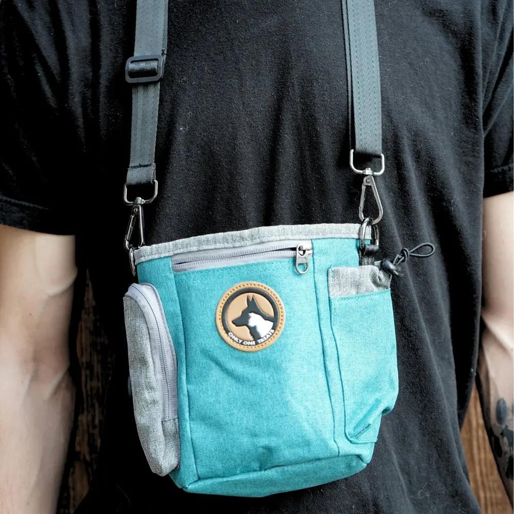 Large Treat Pouch - Teal Only One Treats