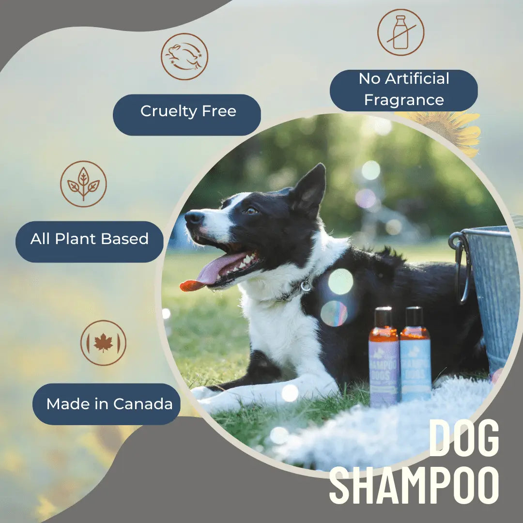 Lavender & Geranium Dog Shampoo Black Sheep Organics