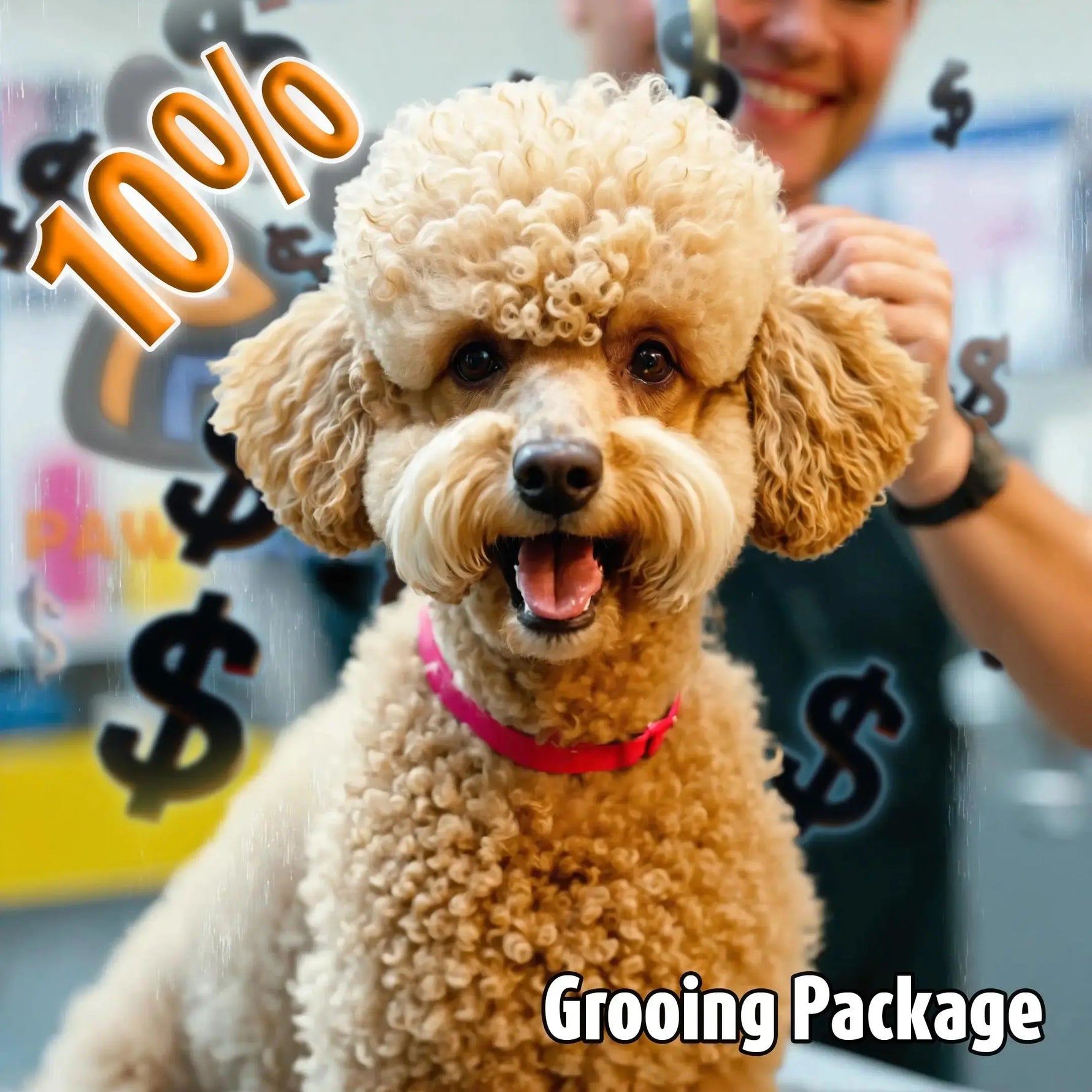 5 Full Grooming Package - #1 - Extra Small ( Under 8 Lb.) - With a 10% Discount PAWMART.ca