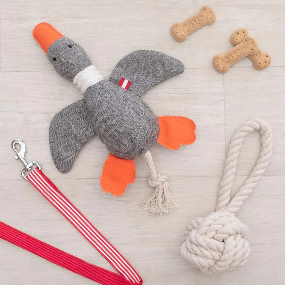 Louie Living - Dodo the Duck - Dogs Toy - PAWMART.ca