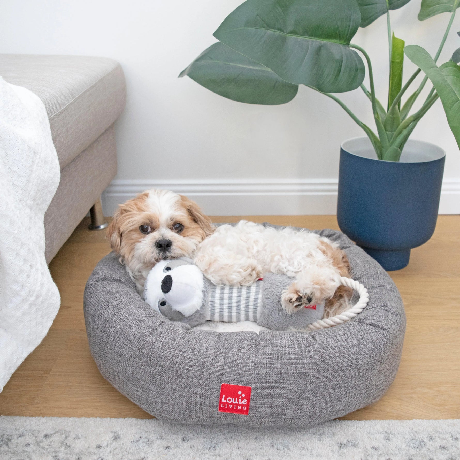 Louie Living -Donut Lounger - Grey - PAWMART.ca