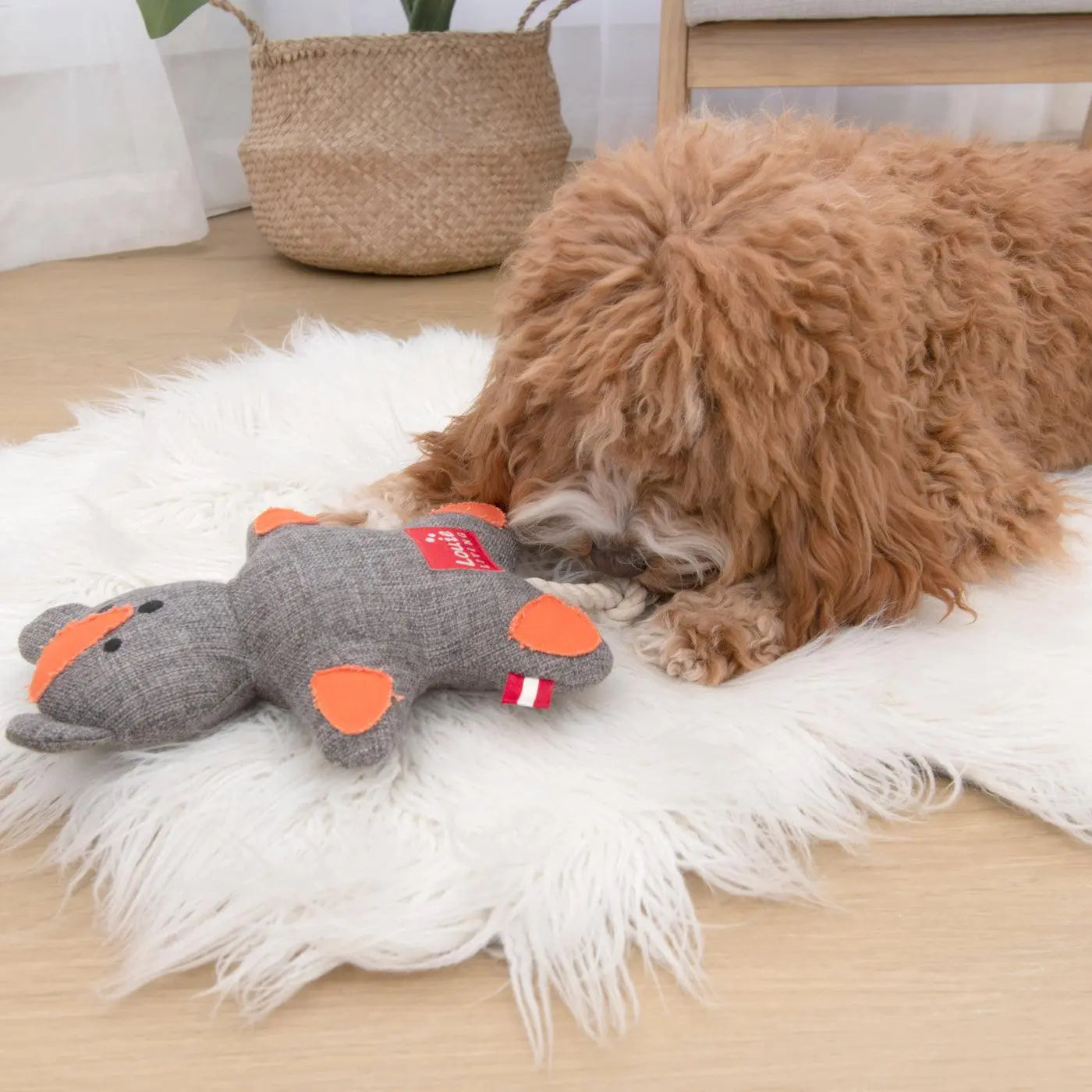 Louie Living - Silvester the Squirrel - Dogs Toy - PAWMART.ca