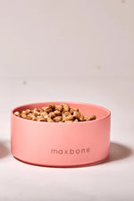 MAXBONE - Classic Ceramic Bowl for Dogs & Cats MAXBONE