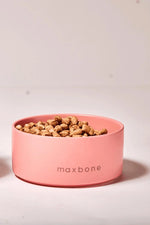 MAXBONE - Classic Ceramic Bowl for Dogs & Cats - PAWMART.ca