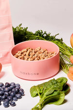 MAXBONE - Classic Ceramic Bowl for Dogs & Cats MAXBONE