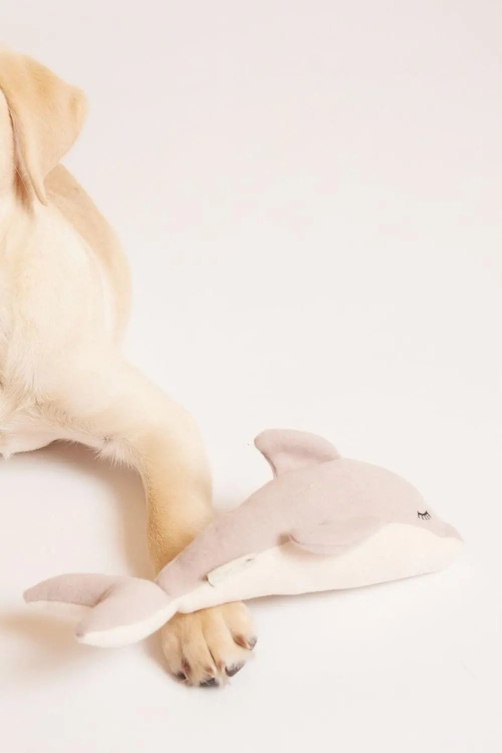 MAXBONE - Daphne Dolphin Dog's Toy - PAWMART.ca