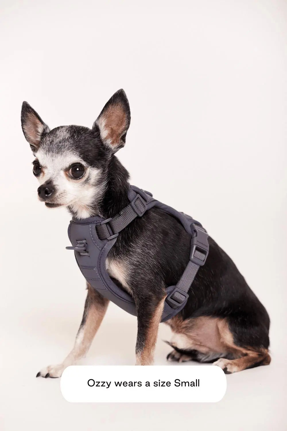 MAXBONE - Double Panel Harness for Dogs - PAWMART.ca