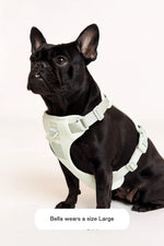 MAXBONE - Double Panel Harness for Dogs - PAWMART.ca Canadian Pet Store & Pet Grooming