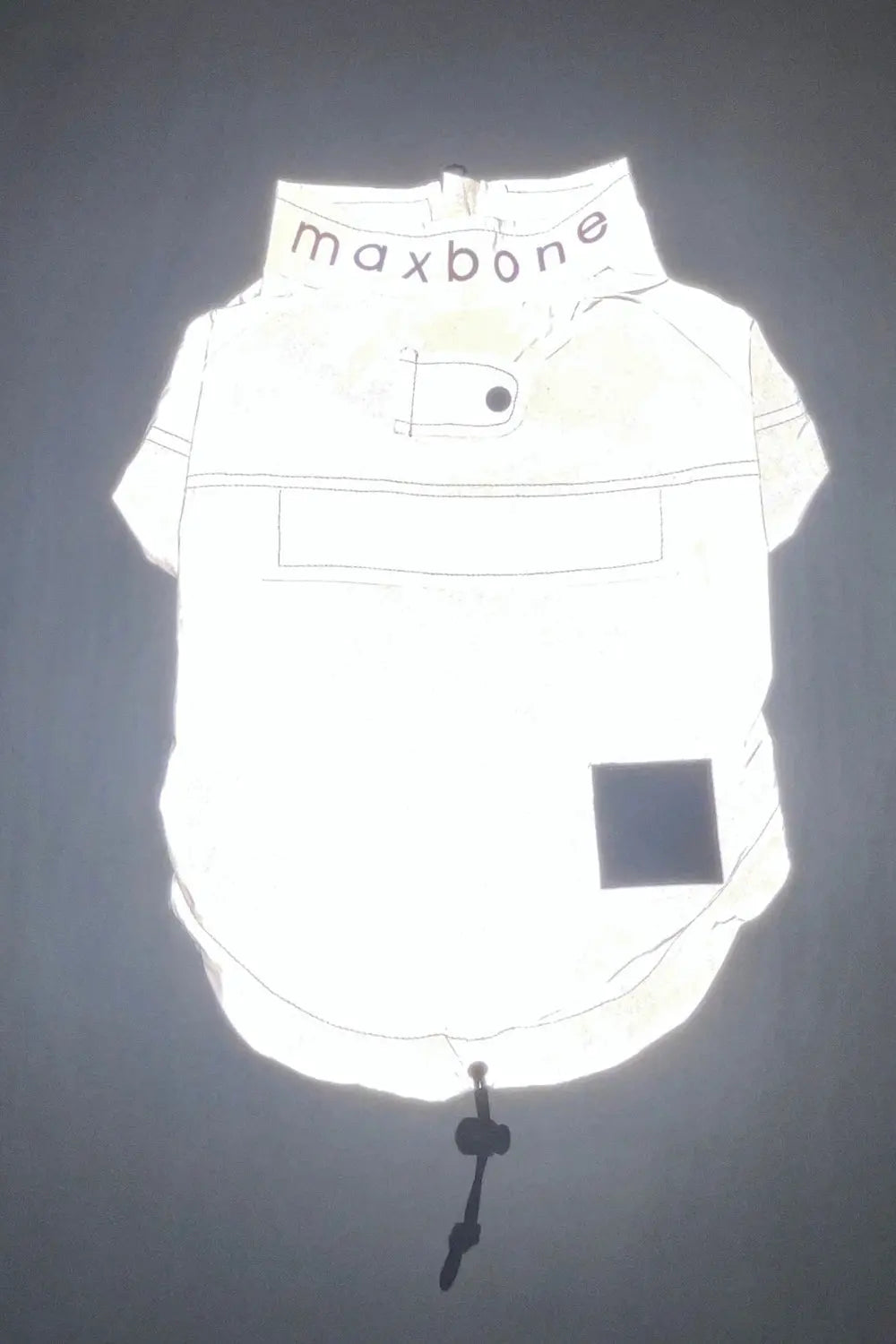 MAXBONE - GLOW! Reflective Outdoor Jacket for Dogs MAXBONE