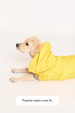 MAXBONE - Talon Raincoat for Dogs MAXBONE