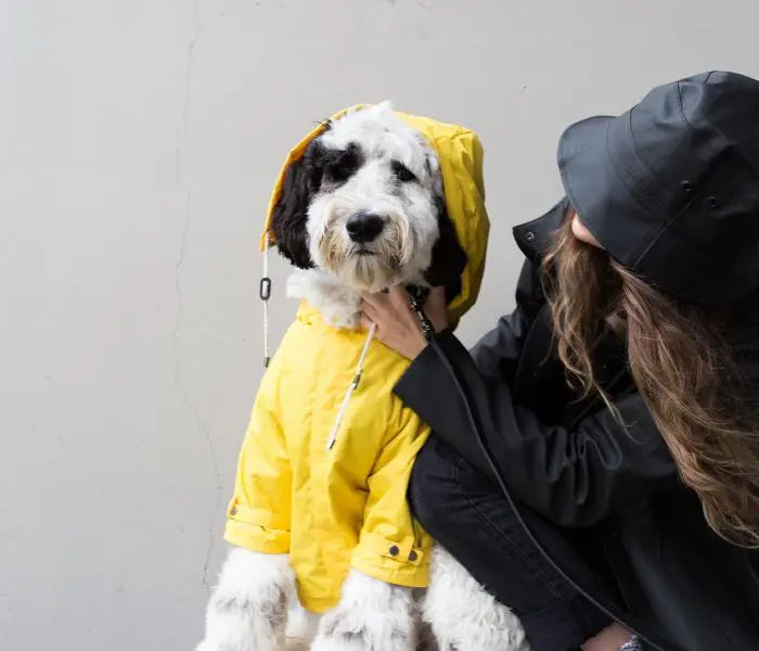 MAXBONE - Talon Raincoat for Dogs MAXBONE