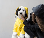 MAXBONE - Talon Raincoat for Dogs - PAWMART.ca