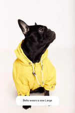 MAXBONE - Talon Raincoat for Dogs - PAWMART.ca