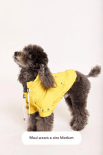 MAXBONE - Talon Raincoat for Dogs - PAWMART.ca