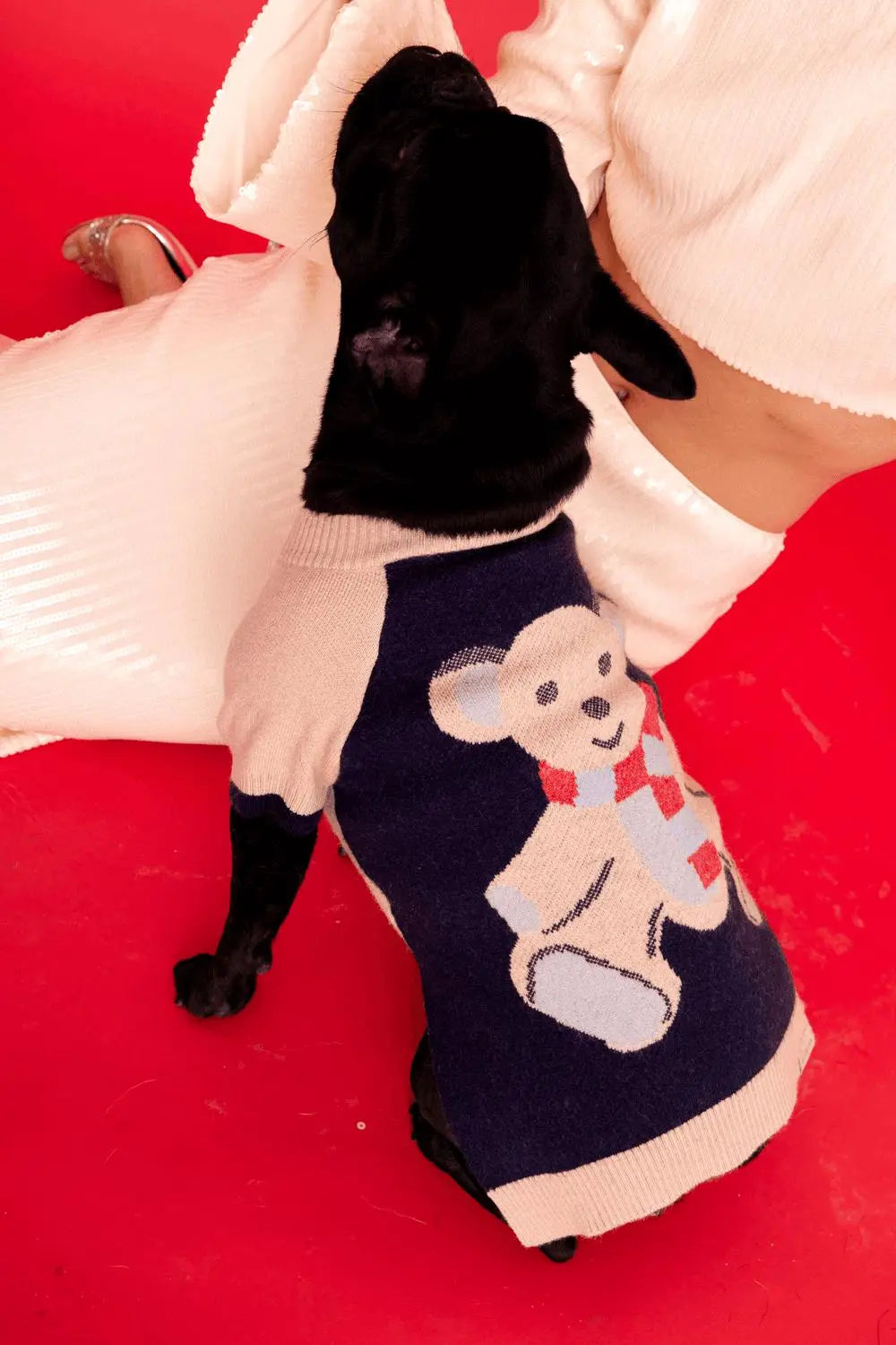 MaxBone Teddy Raglan Jumper Sweater For Dog PAWMART Canadian PAWMART Pet Store Grooming Toronto