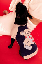 MaxBone - Teddy Raglan Jumper - Sweater For Dog MAXBONE