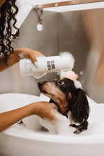 Maxbone - Calming Shampoo - Shampoo for Dogs and Cats - PAWMART.ca