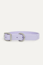 Maxbone - Hazel Collar - Lavender - PAWMART.ca