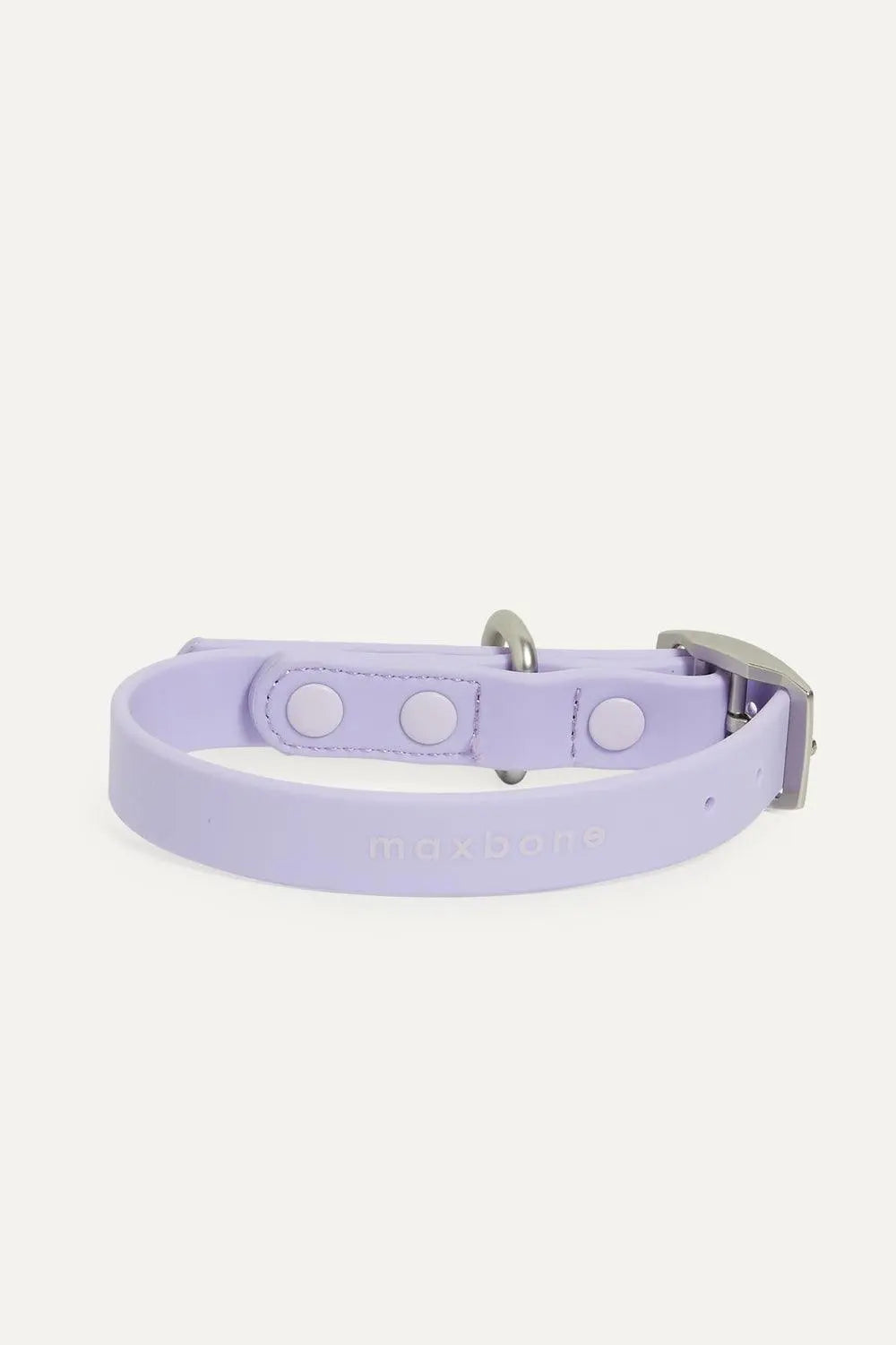 Maxbone - Hazel Collar - Lavender - PAWMART.ca