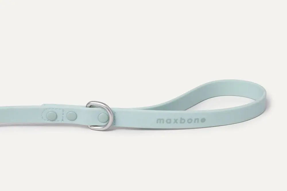 Maxbone - Hazel Leash - Mint - PAWMART.ca