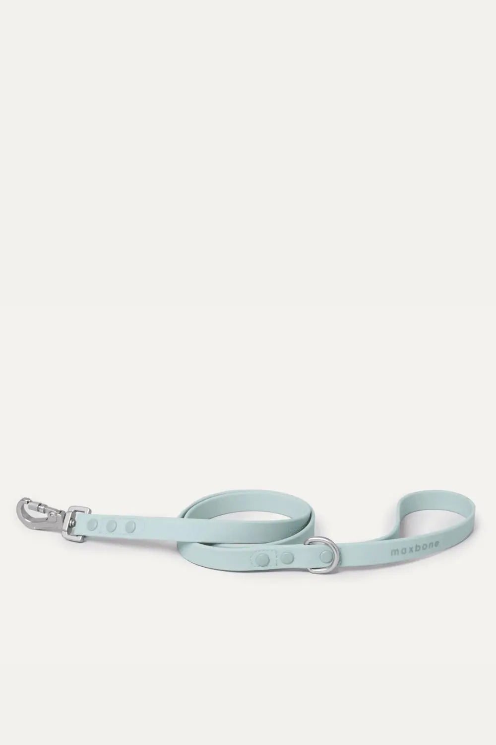 Maxbone - Hazel Leash - Mint - PAWMART.ca