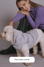 Maxbone - Sub Zero Waterproof Jacket - Winter coat for Dogs MAXBONE