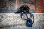 MomoDog - Rope Leash - Leash or Dog - PAWMART.ca