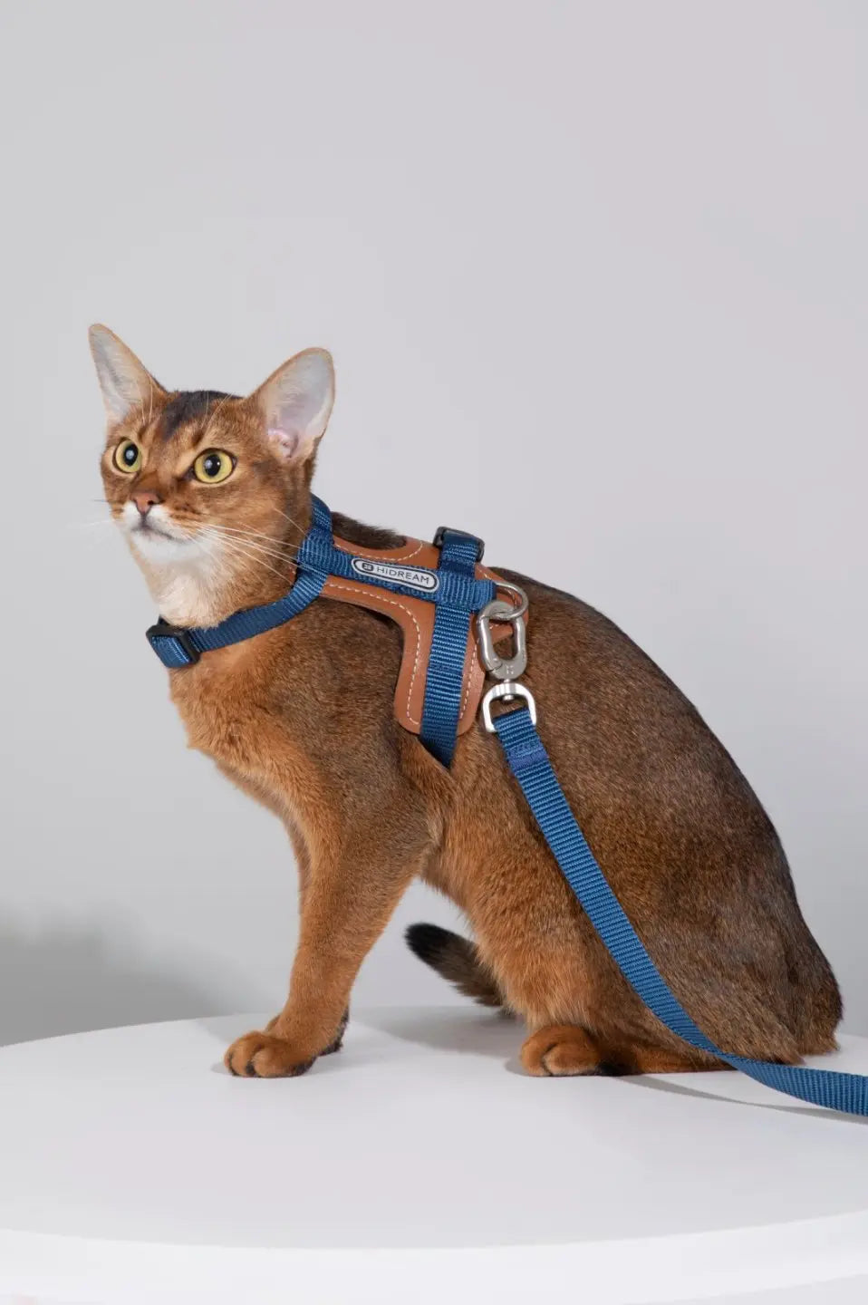 Momopets™ BOBO Series – Premium Cat Leather H-Harness Set Momo Pets