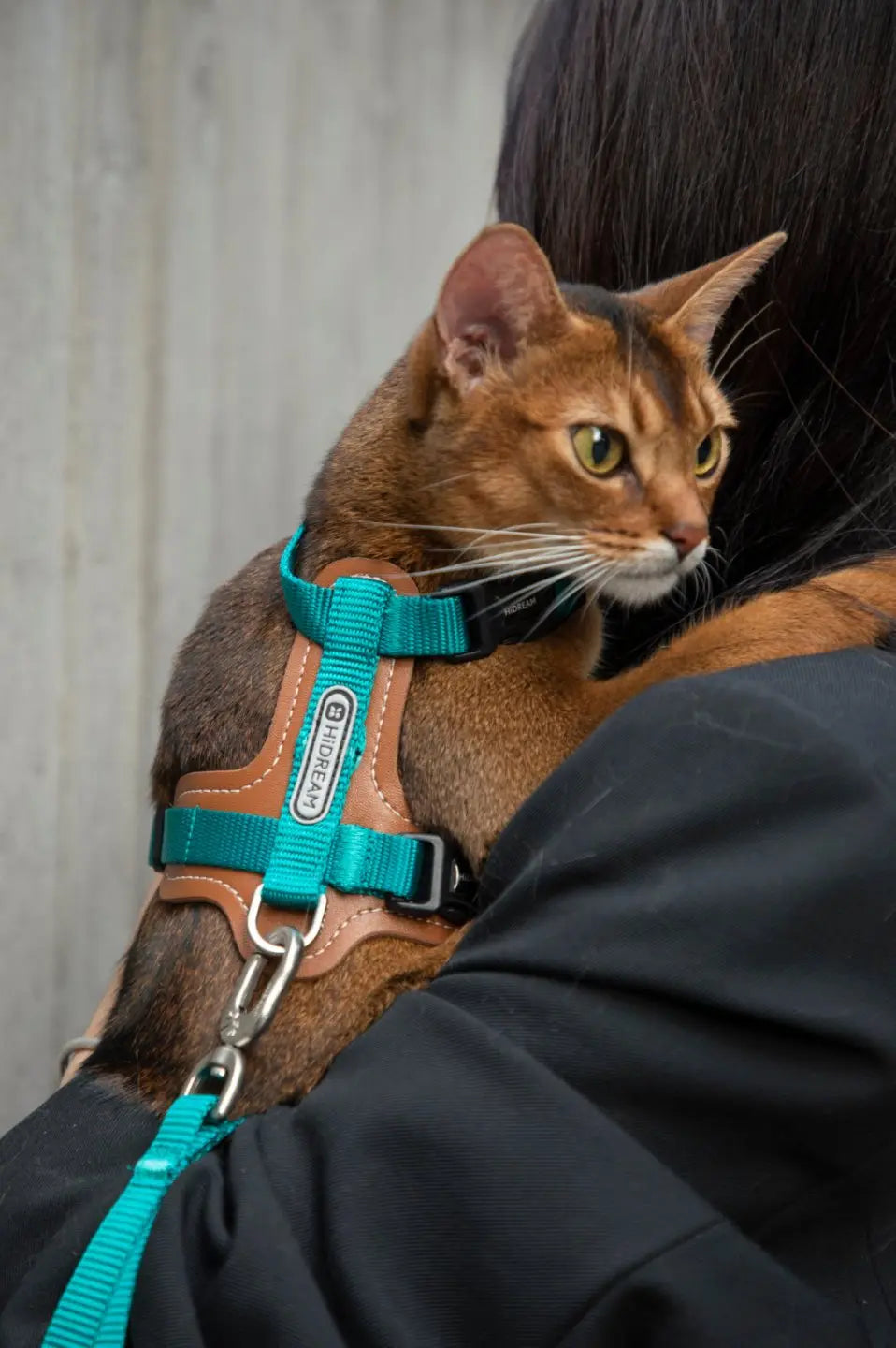 Momopets™ BOBO Series – Premium Cat Leather H-Harness Set Momo Pets