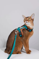 Momopets™ BOBO Series – Premium Cat Leather H-Harness Set Momo Pets