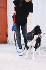 Momopets™ Rainbow Series – Felt Dog Poop Bag Holder Momo Pets