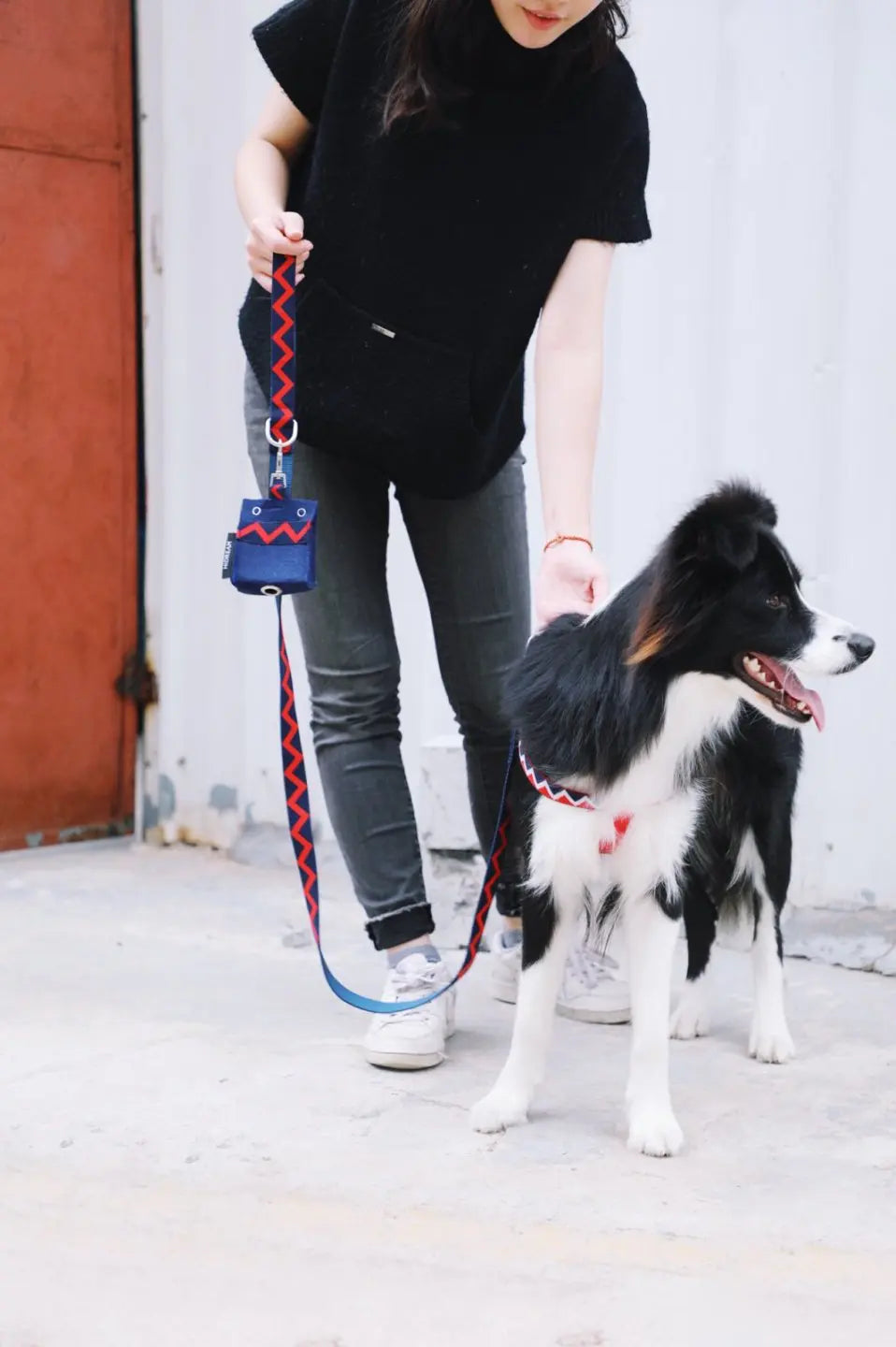 Momopets™ Rainbow Series – Felt Dog Poop Bag Holder Momo Pets