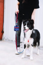 Momopets™ Rainbow Series – Felt Dog Poop Bag Holder Momo Pets