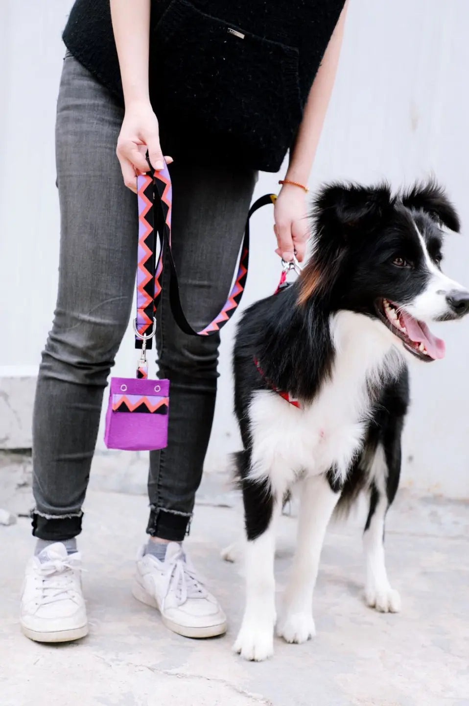 Momopets™ Rainbow Series – Felt Dog Poop Bag Holder Momo Pets