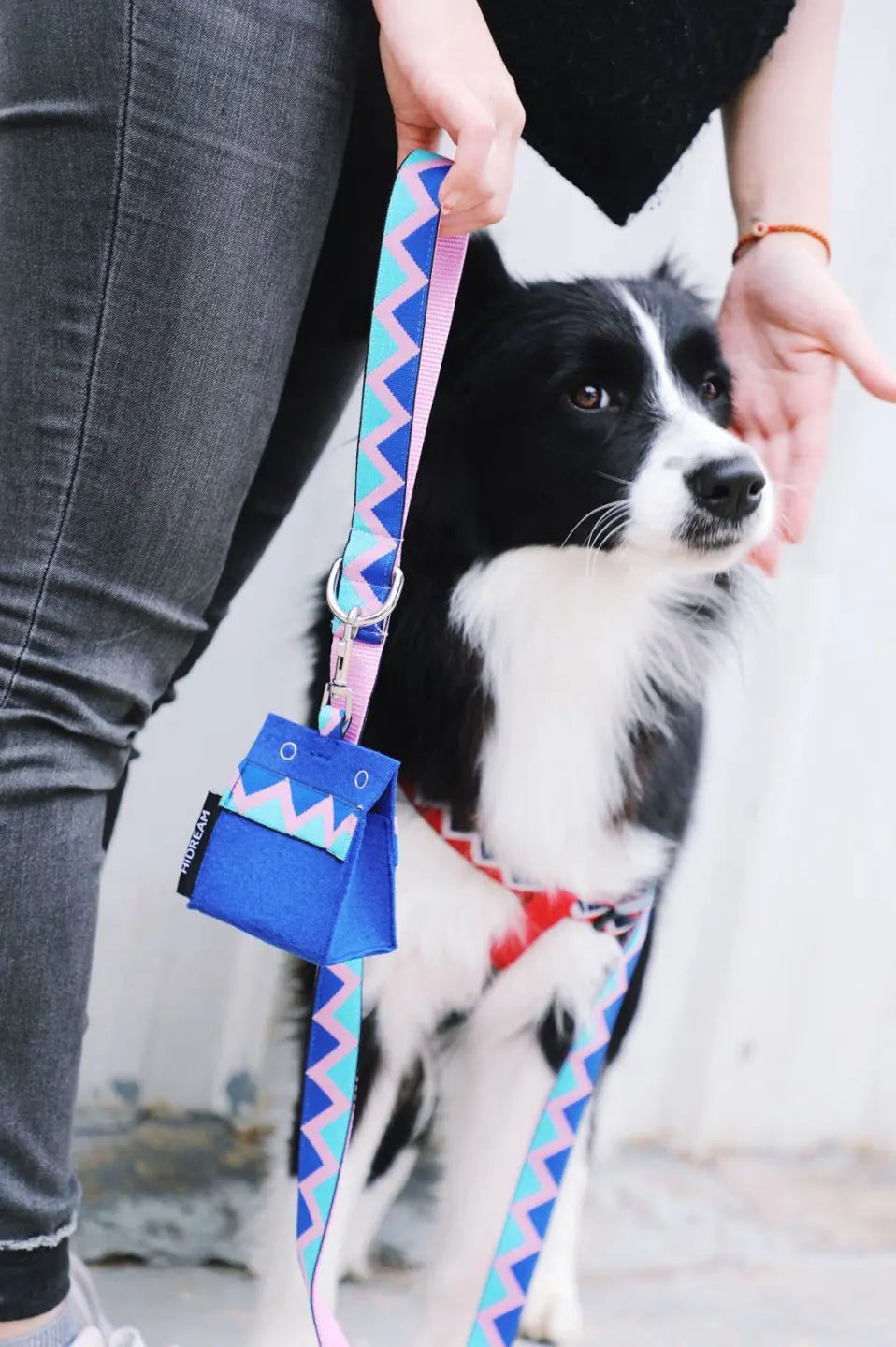 Momopets™ Rainbow Series – Felt Dog Poop Bag Holder Momo Pets