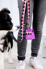 Momopets™ Rainbow Series – Felt Dog Poop Bag Holder Momo Pets