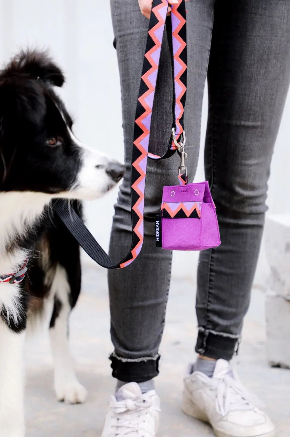 Momopets™ Rainbow Series – Felt Dog Poop Bag Holder Momo Pets