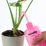 Mossify squirtr Mossify