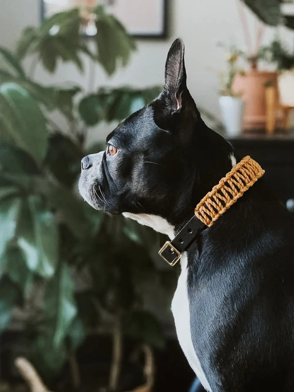 Ember Ivory Black Mustard Leather Macrame Collar