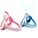 My Baby Boy One-Click Dog Harness Puccissimé Pet Couture