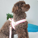 My Baby Girl Collar Puccissimé Pet Couture