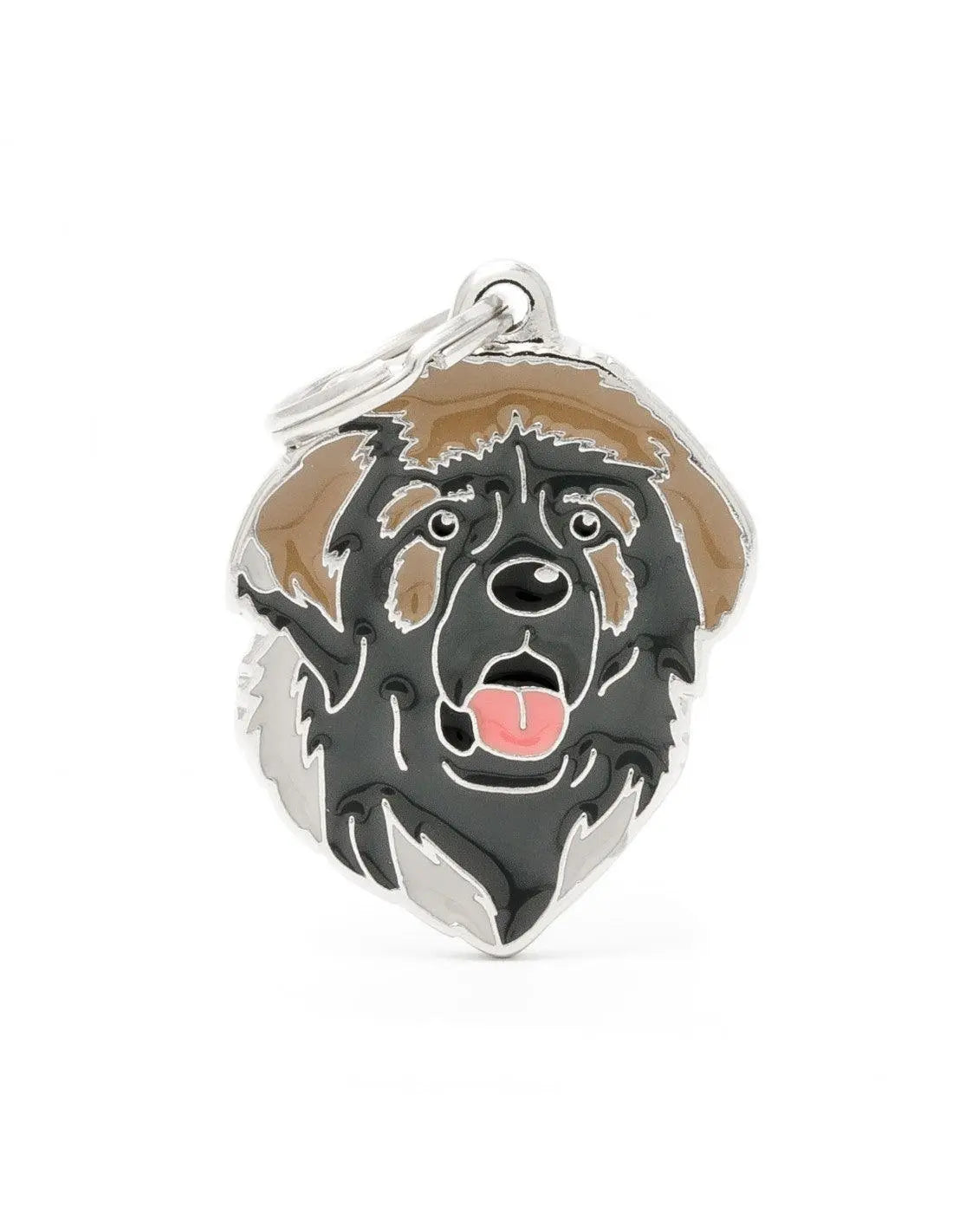 MyFamily Engraving Pet Tag - CHOCOLATE LABRADOR - PAWMART.ca