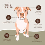 Natural Dog Company PAWTECTION® | All-Natural and Vegan Balm Natural Dog Company