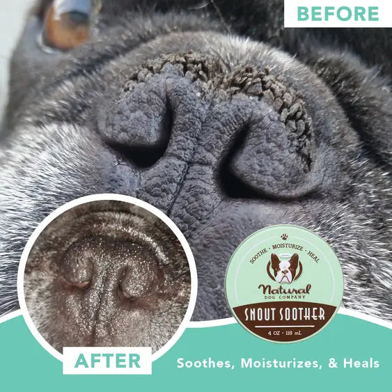 Natural Dog Company SNOUT SOOTHER® | All-Natural and Vegan Balm Natural Dog Company