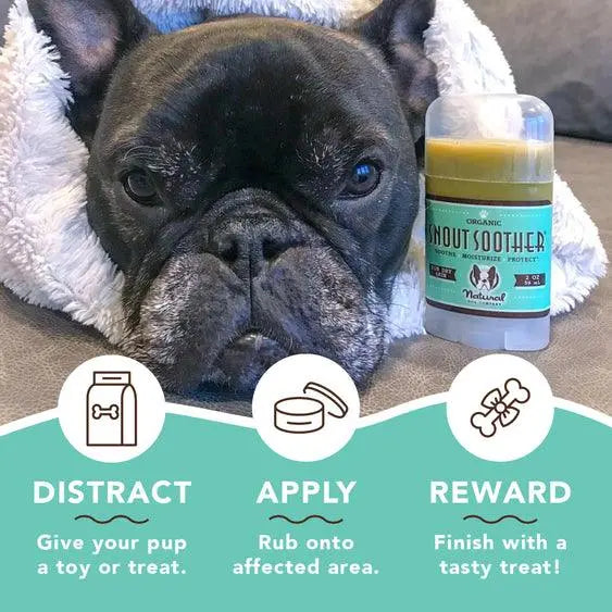 Natural Dog Company SNOUT SOOTHER® | All-Natural and Vegan Balm - PAWMART.ca