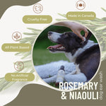 Natural Dog Ear Cleaner – Rosemary & Niaouli Black Sheep Organics