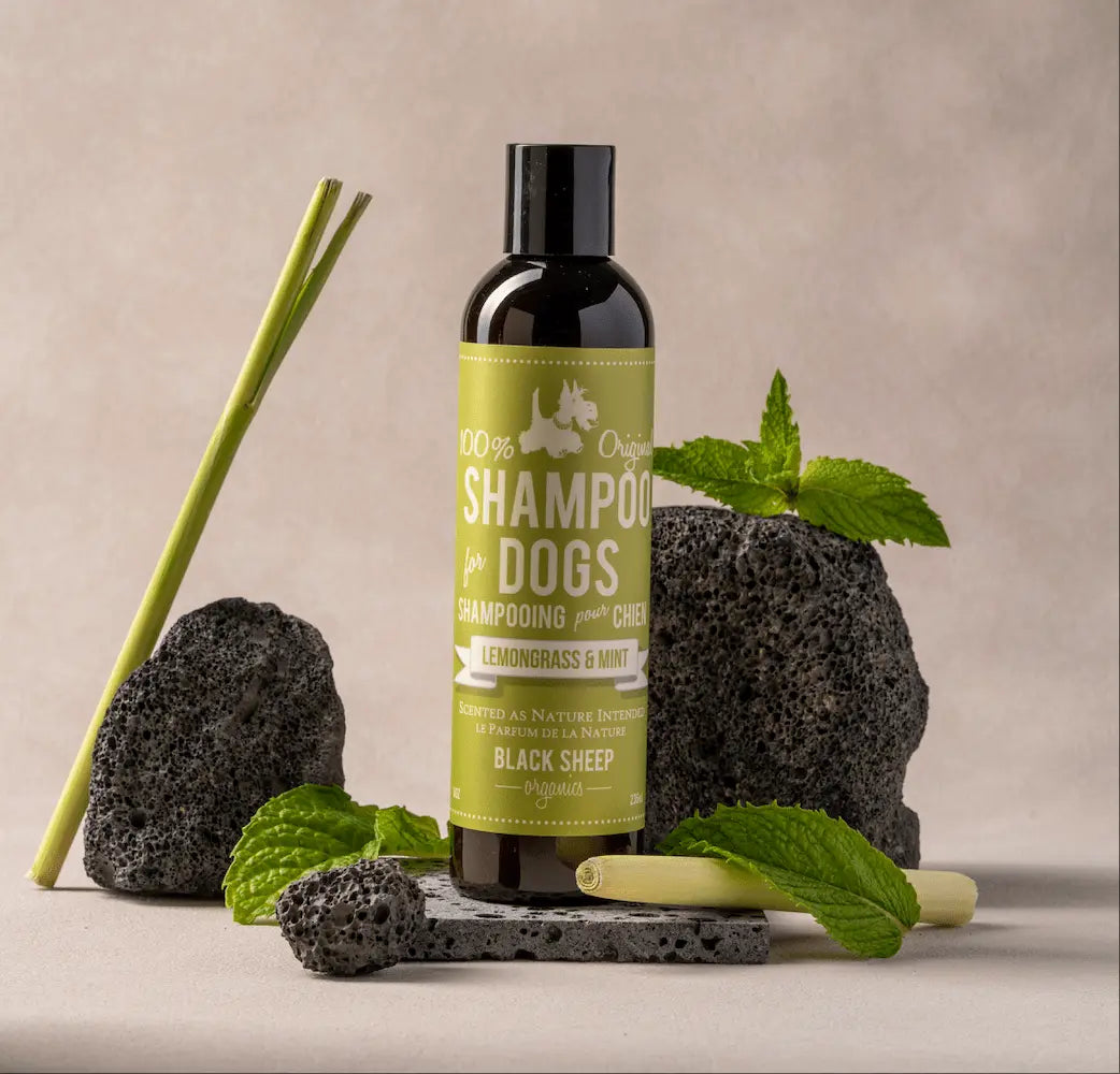 Natural Dog Shampoo - Lemongrass & Mint Black Sheep Organics